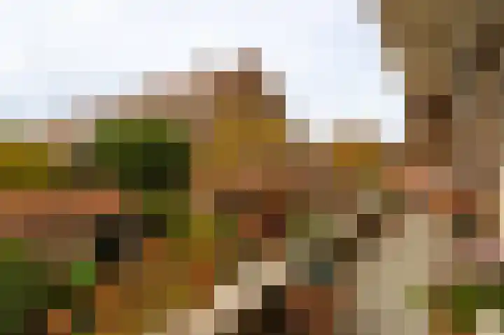 Arabislaan 92 Den Haag thumbnail 14