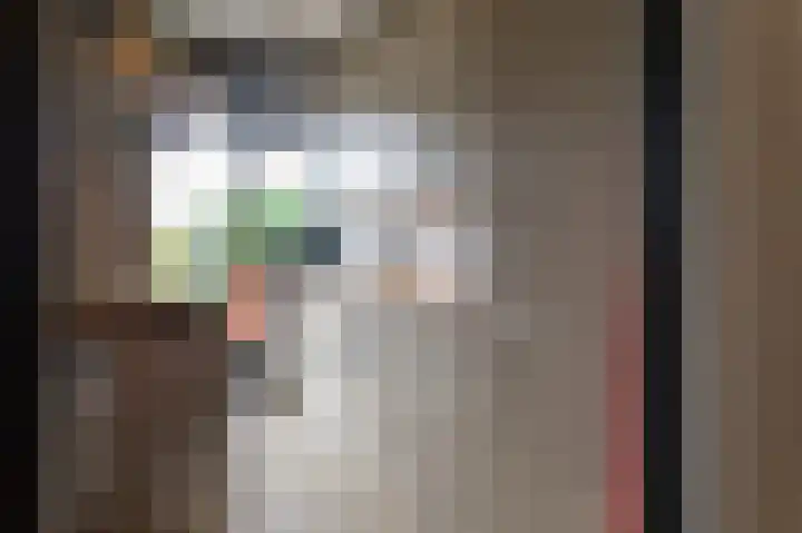 Arabislaan 92 Den Haag thumbnail 17