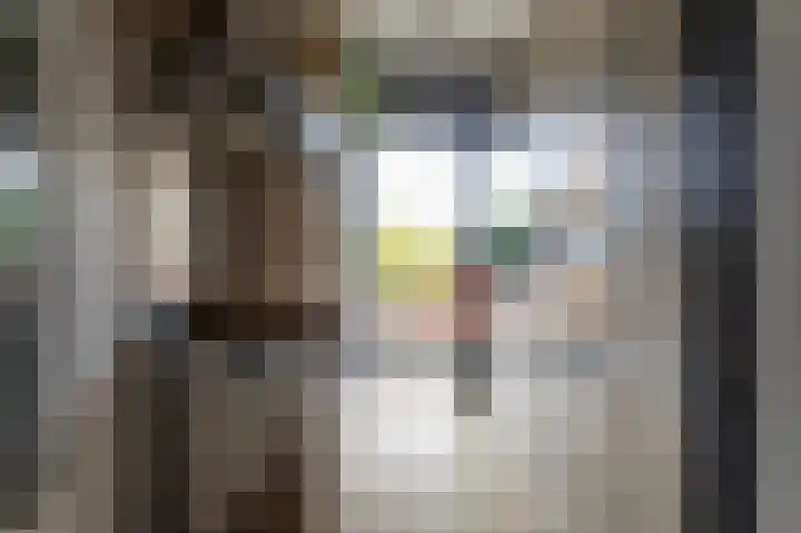 Arabislaan 92 Den Haag thumbnail 18