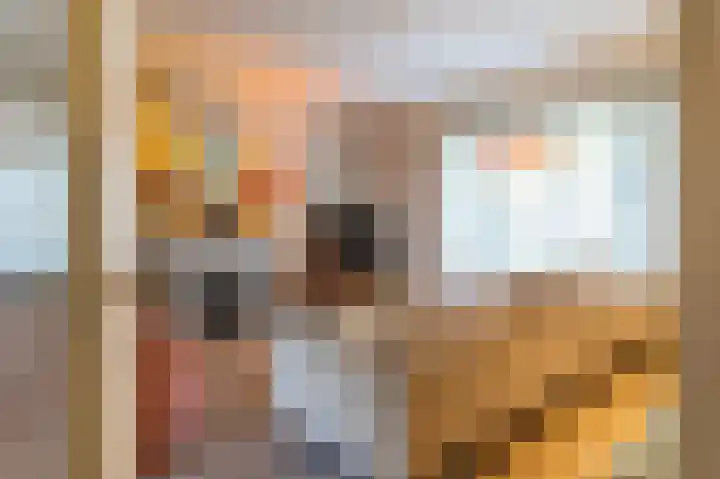 Arabislaan 92 Den Haag thumbnail 6
