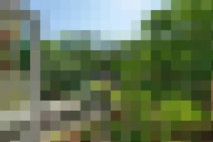 Aragohof 13 2 Amsterdam thumbnail 22