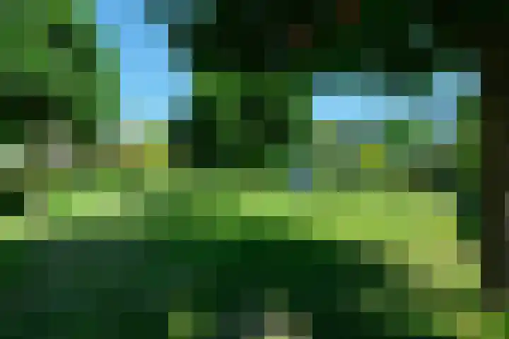 Aragohof 13 2 Amsterdam thumbnail 28