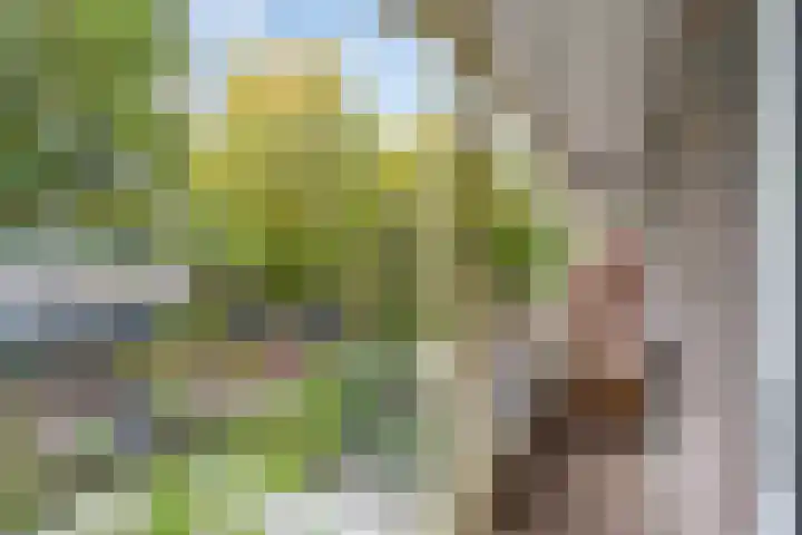 Aragohof 6 H Amsterdam thumbnail 13