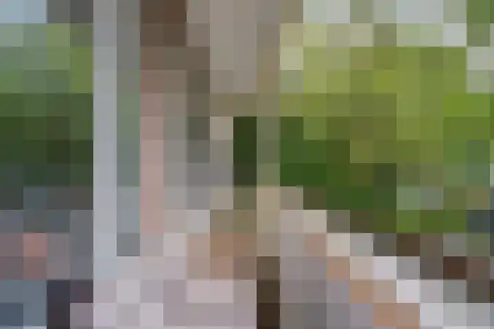 Aragohof 6 H Amsterdam thumbnail 14