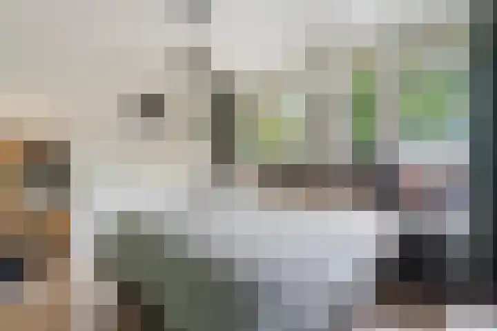 Aragohof 6 H Amsterdam thumbnail 17