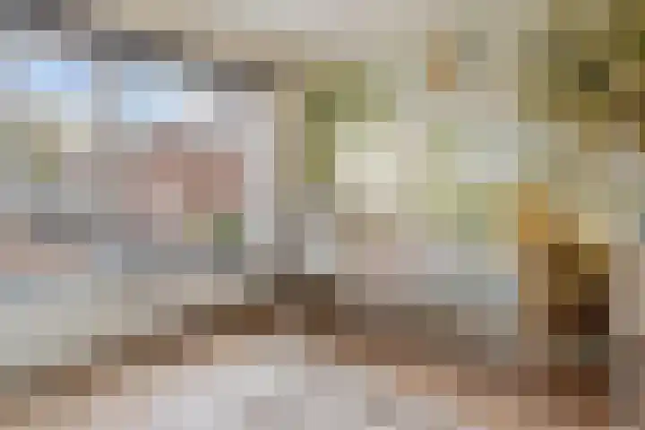 Aragohof 6 H Amsterdam thumbnail 18