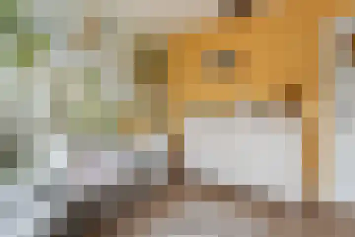 Aragohof 6 H Amsterdam thumbnail 19