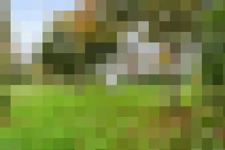 Aragohof 6 H Amsterdam thumbnail 22