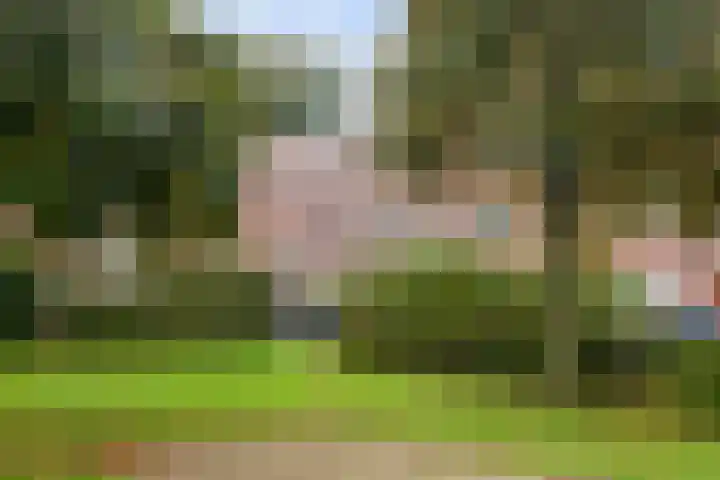 Aragohof 6 H Amsterdam thumbnail 23