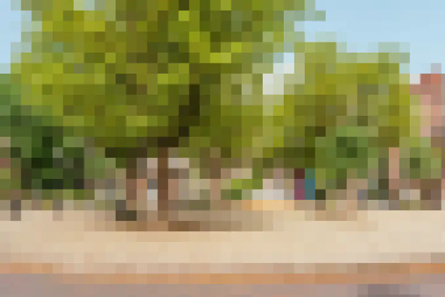 Aragohof 7 H Amsterdam thumbnail 25