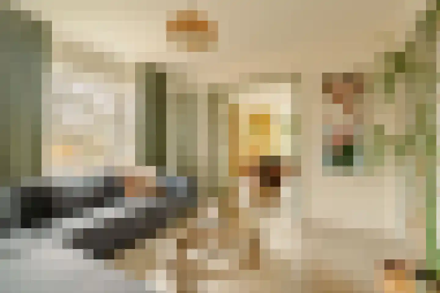 Aragohof 7 H Amsterdam thumbnail 7