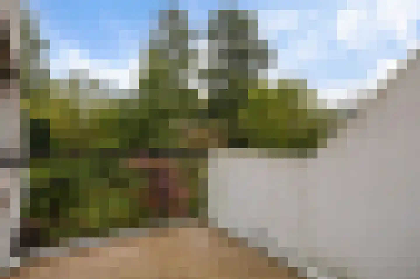 Aragon 12 Leusden thumbnail 13
