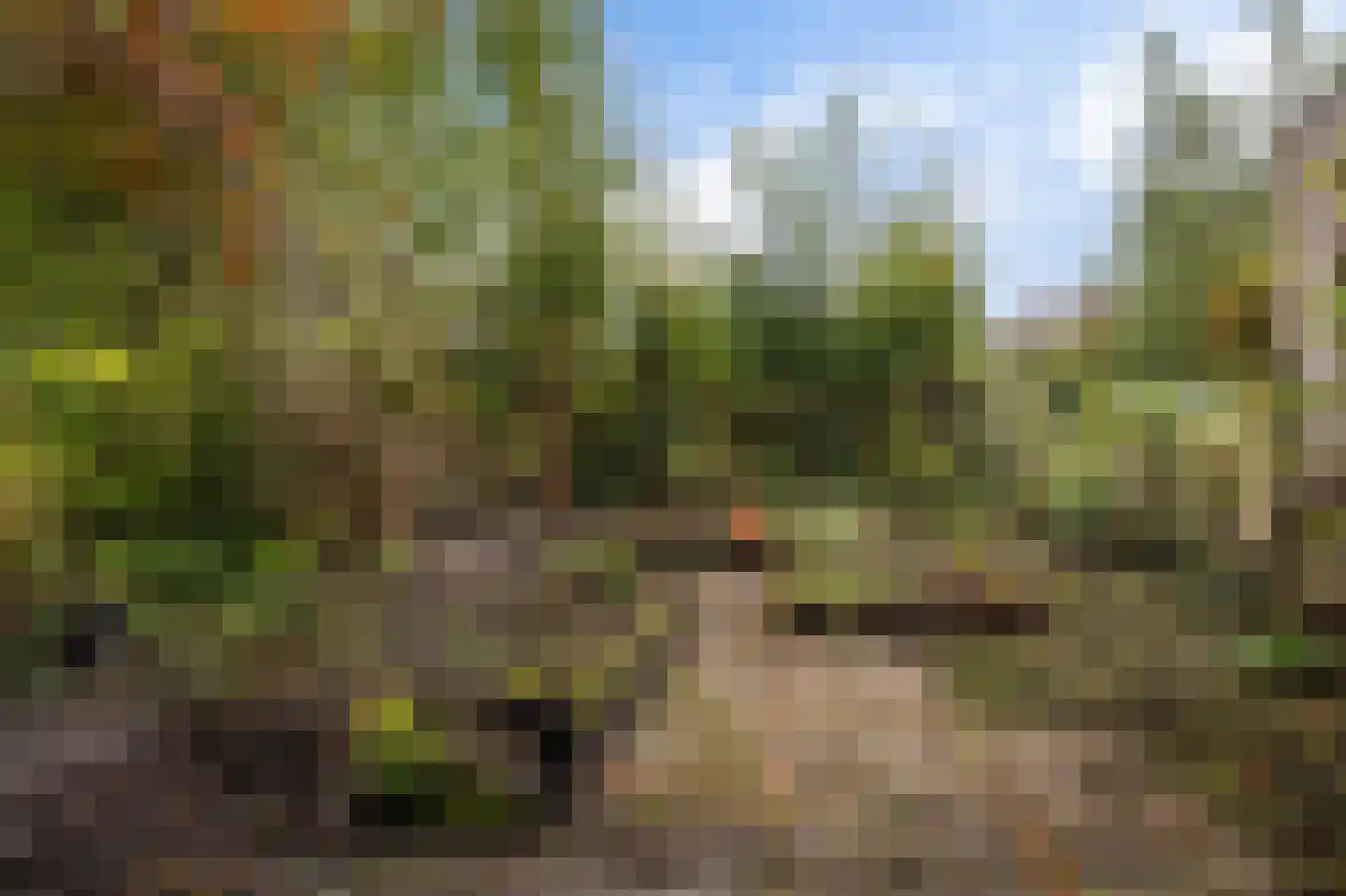 Aragon 12 Leusden thumbnail 29