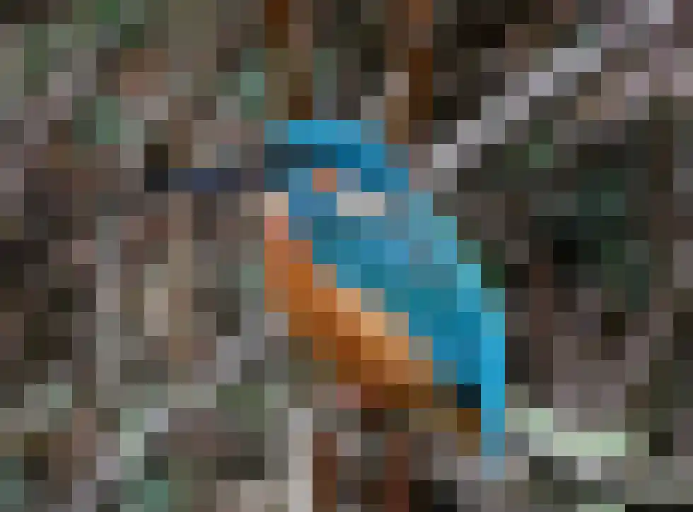 Aragon 12 Leusden thumbnail 30