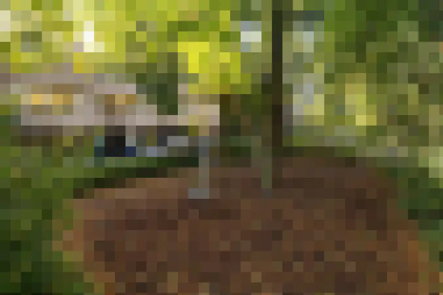 Aragon 12 Leusden thumbnail 31