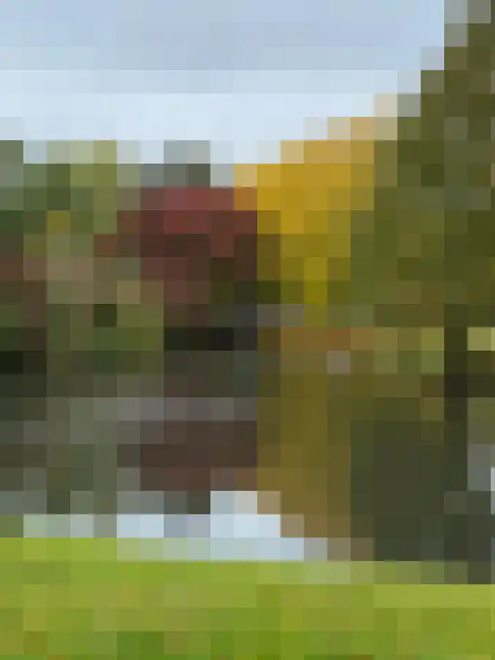 Aragon 12 Leusden thumbnail 32