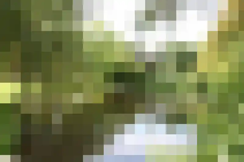 Aragon 12 Leusden thumbnail 37