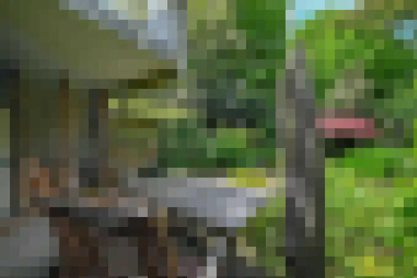 Aragon 3 Leusden thumbnail 26