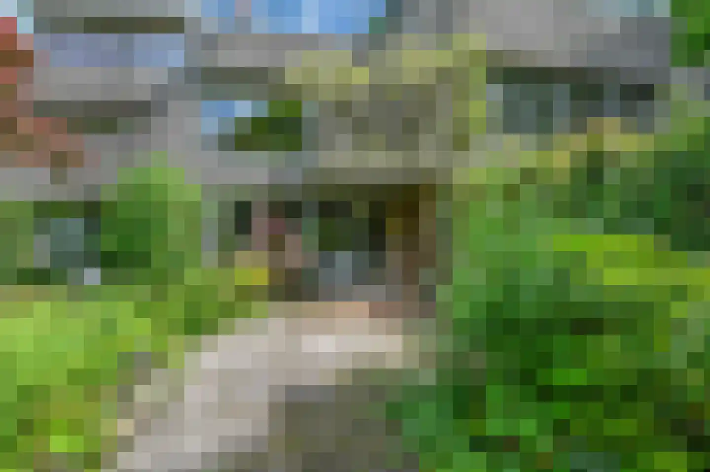 Aragon 3 Leusden thumbnail 27