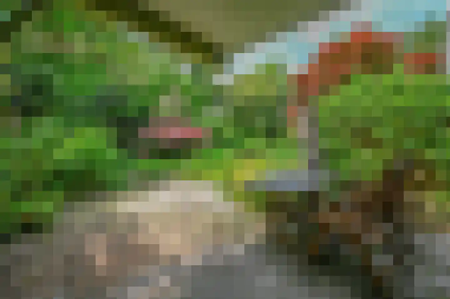 Aragon 3 Leusden thumbnail 7