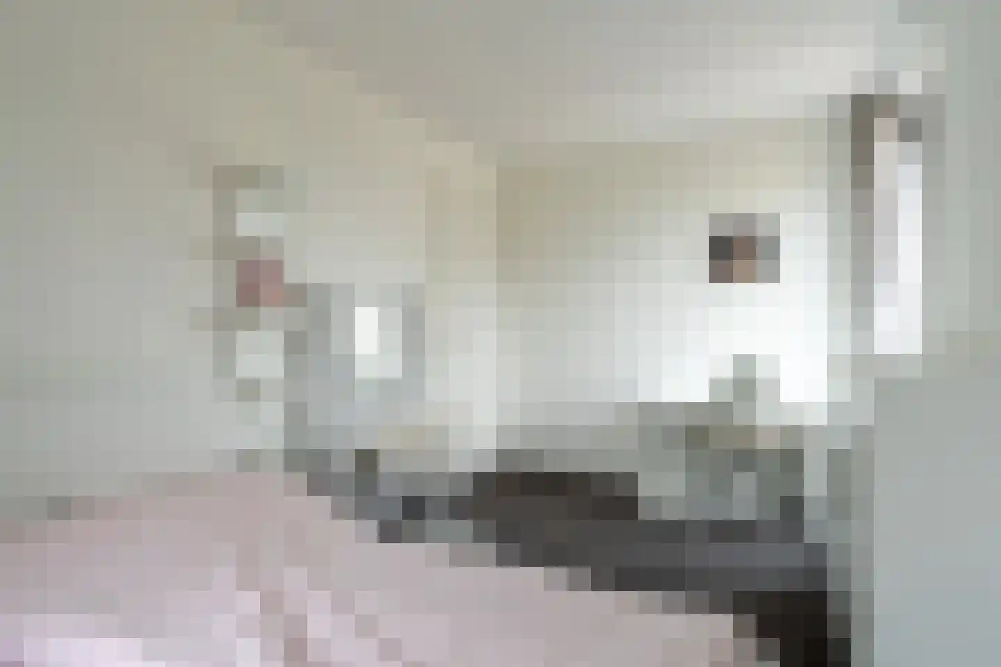 Aragónstraat 19 Lent thumbnail 39