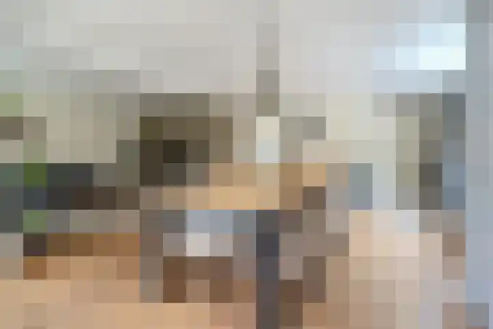Aragorn 22 Geldrop thumbnail 10