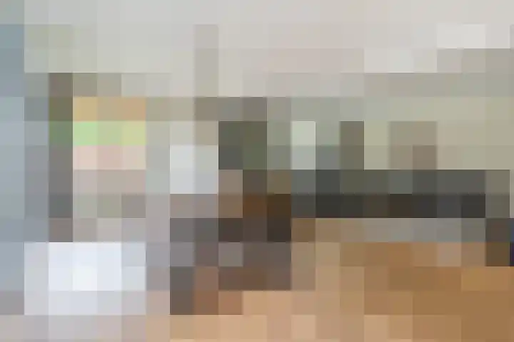 Aragorn 22 Geldrop thumbnail 11