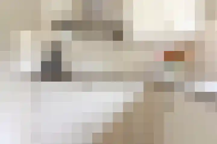 Aragorn 22 Geldrop thumbnail 14