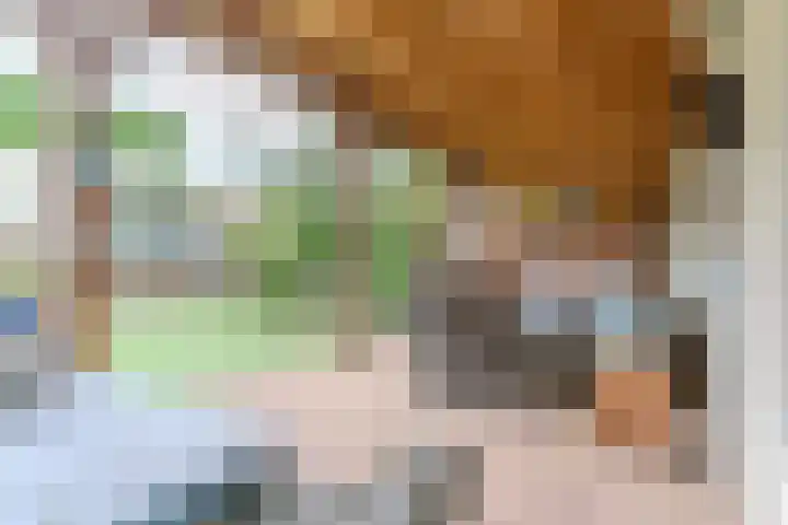 Aragorn 22 Geldrop thumbnail 23