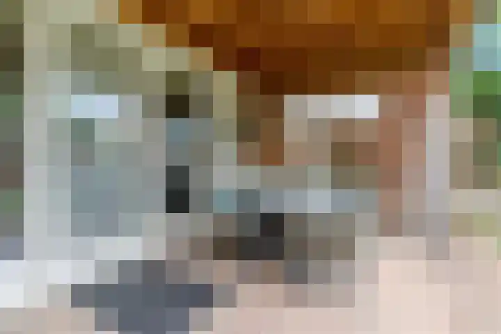 Aragorn 22 Geldrop thumbnail 24