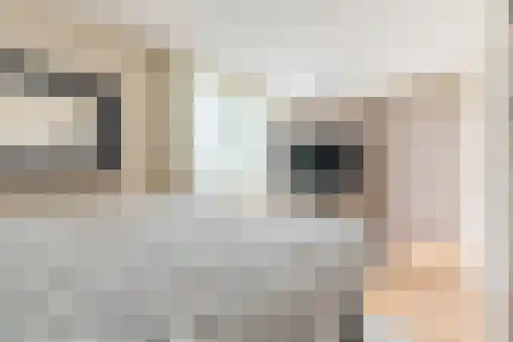 Aragorn 22 Geldrop thumbnail 34