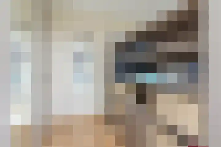 Aragorn 22 Geldrop thumbnail 37