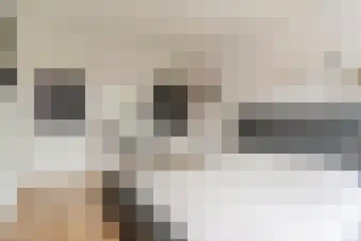 Aragorn 22 Geldrop thumbnail 38