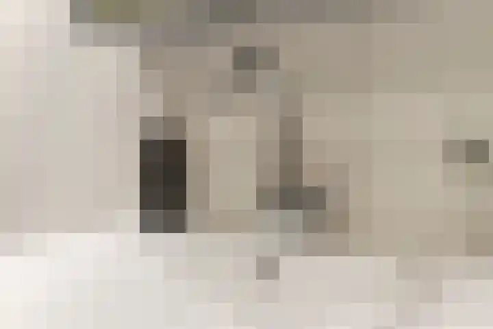 Aragorn 22 Geldrop thumbnail 45