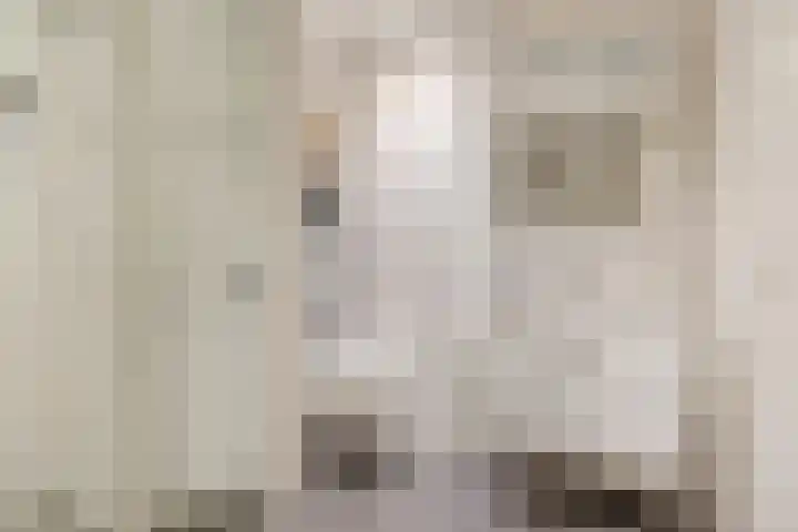 Aragorn 22 Geldrop thumbnail 47
