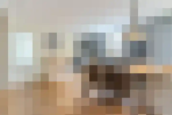 Aragorn 22 Geldrop thumbnail 5