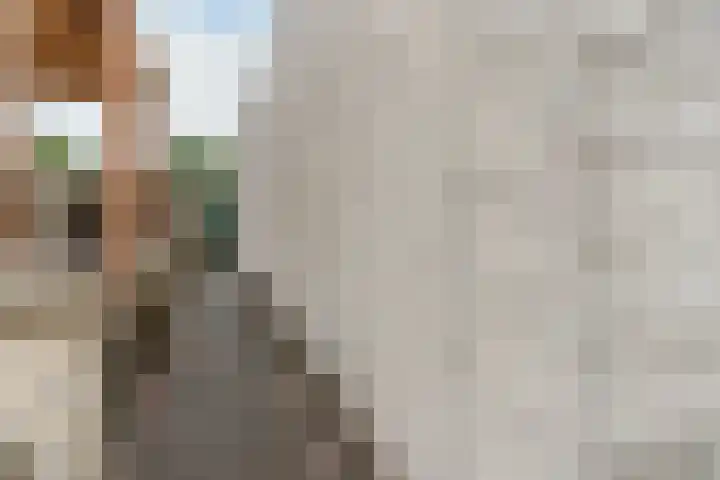 Aragorn 22 Geldrop thumbnail 52