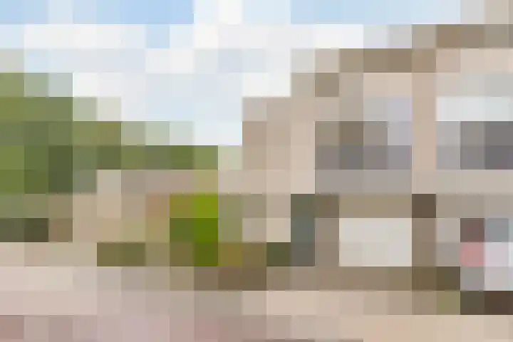 Aragorn 22 Geldrop thumbnail 53