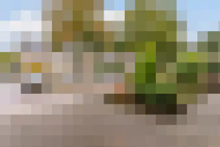 Aragorn 22 Geldrop thumbnail 58