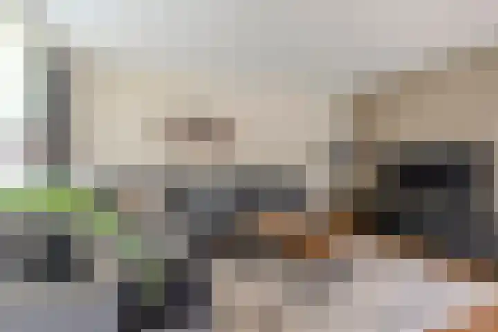 Aragorn 22 Geldrop thumbnail 9