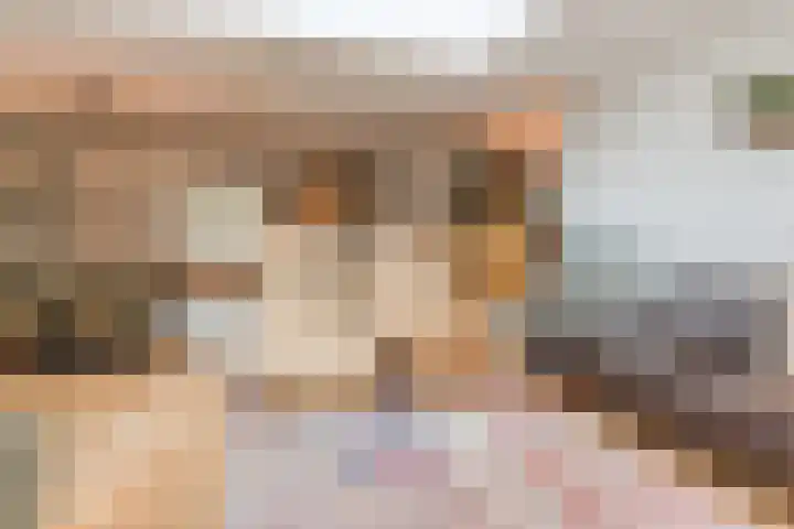 Aragorn 27 Geldrop thumbnail 10