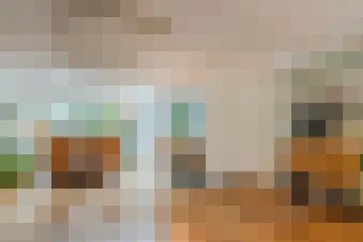 Aragorn 27 Geldrop thumbnail 11