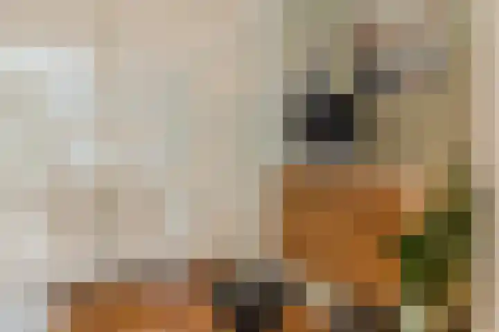Aragorn 27 Geldrop thumbnail 12