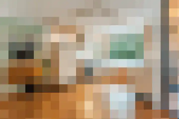 Aragorn 27 Geldrop thumbnail 16