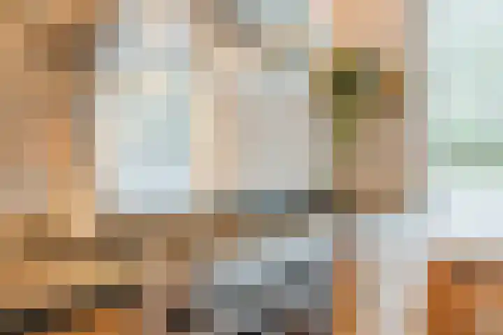 Aragorn 27 Geldrop thumbnail 19