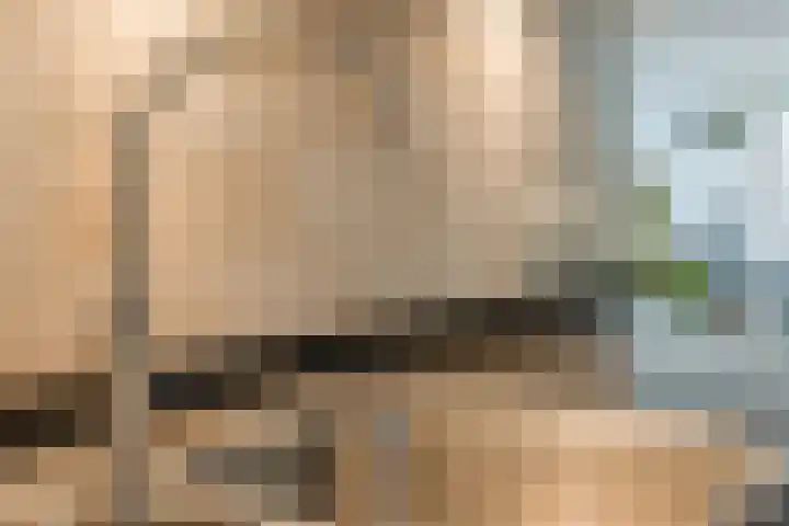 Aragorn 27 Geldrop thumbnail 20