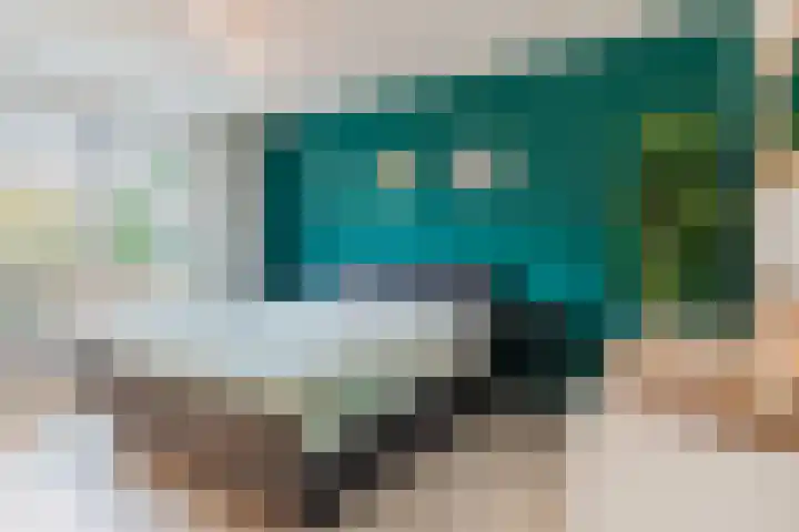Aragorn 27 Geldrop thumbnail 23