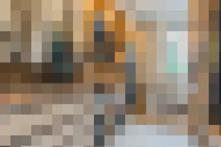 Aragorn 27 Geldrop thumbnail 26