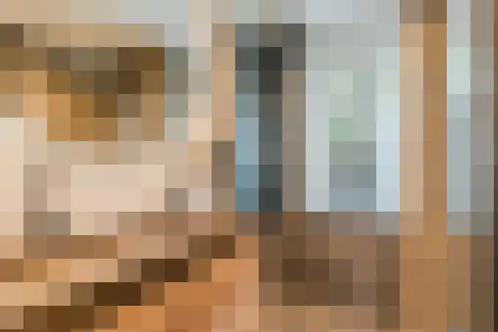 Aragorn 27 Geldrop thumbnail 28