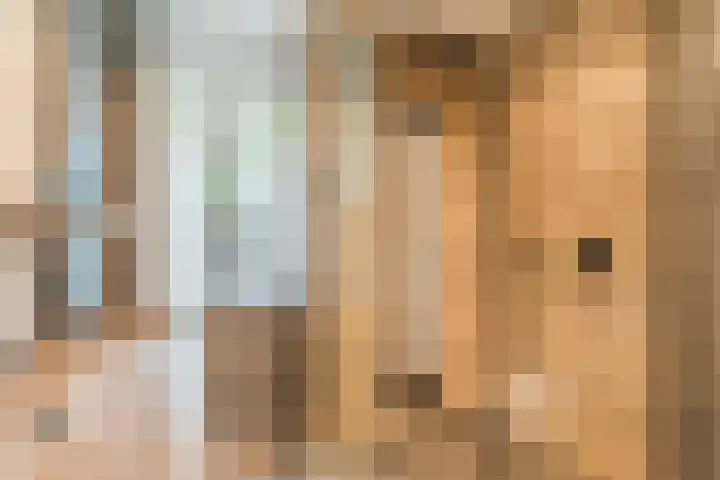 Aragorn 27 Geldrop thumbnail 29